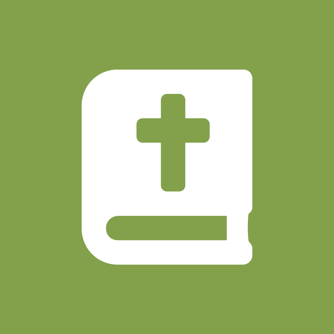 Aprende de Dios Bible